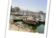 
                                  Hafen Mallorca