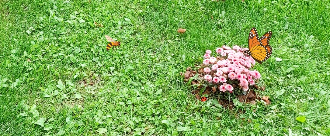 Liebevoll gepflegt Beete – Lebensraum für Insekten