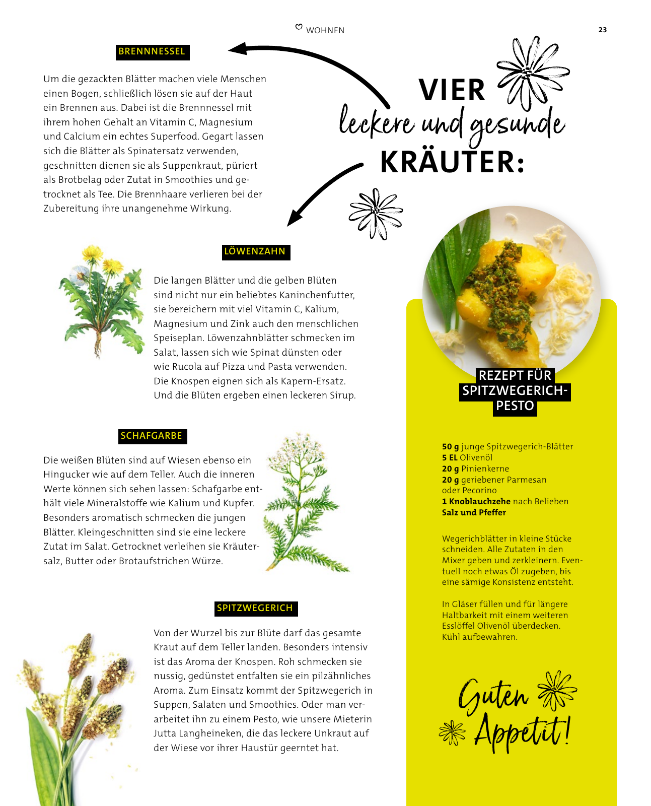 Vorschau spar+bau – Lebe 03/2023 Seite 23
