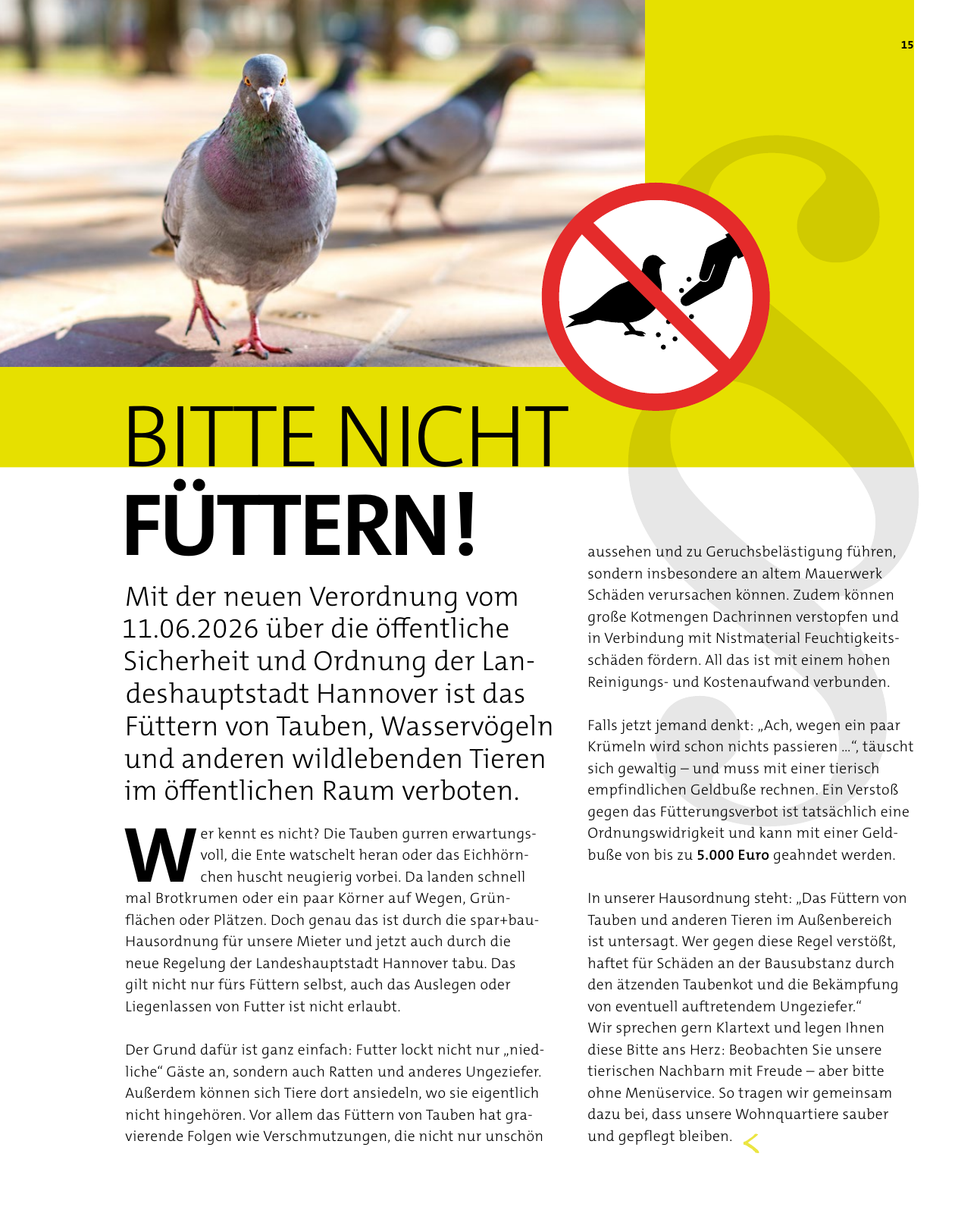 Vorschau spar+bau – Lebe 03/2026 Seite 15